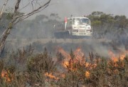 Scrub fire, Bookmark complex fires